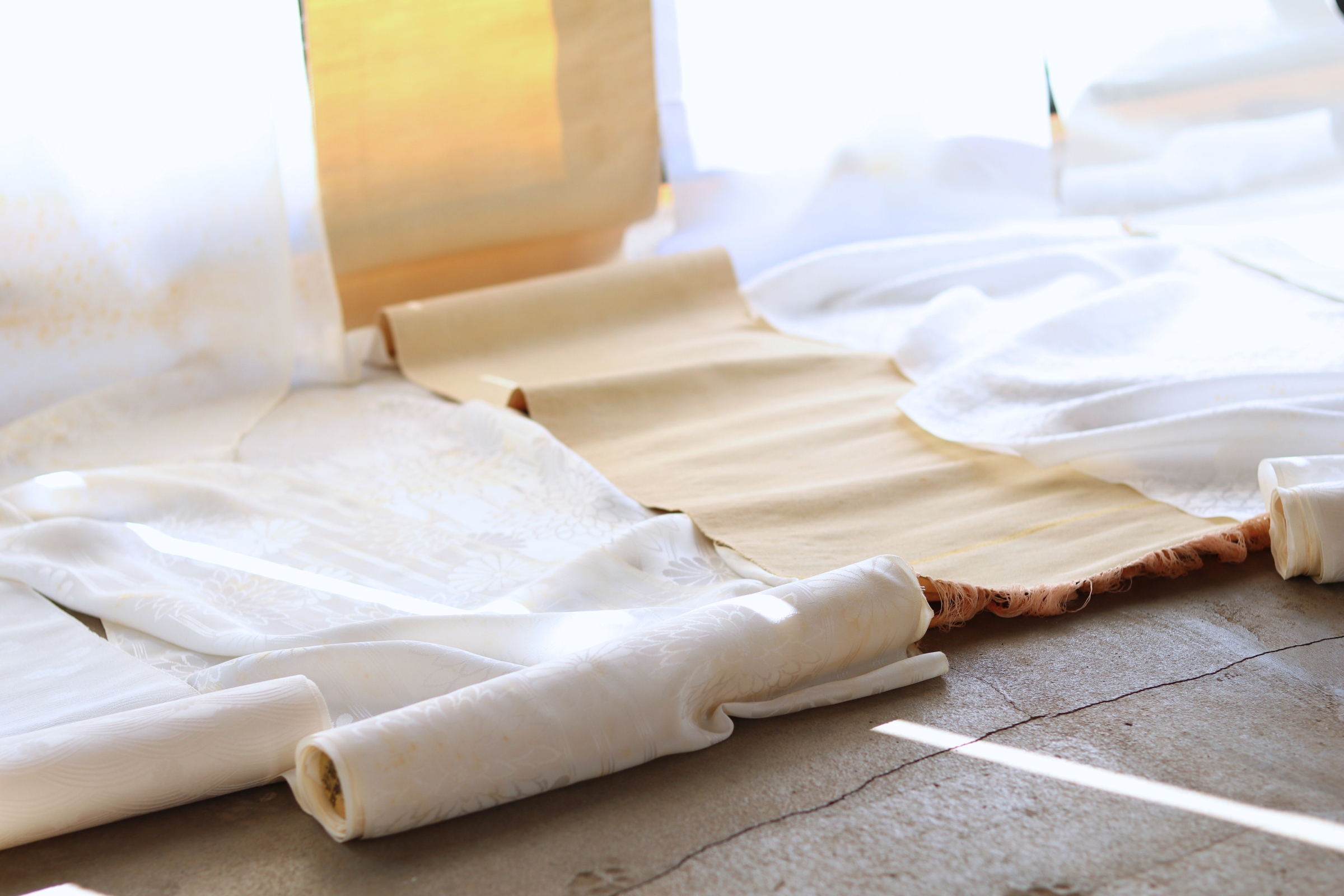 morinori-information